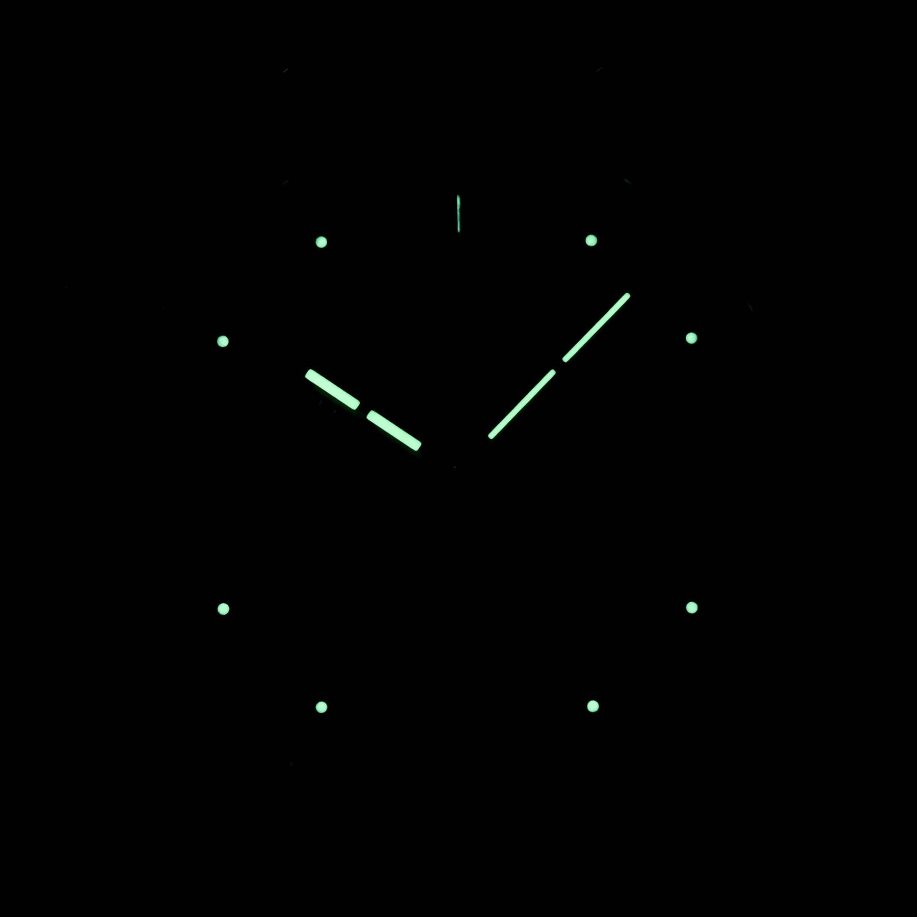 Harga Audemars Piguet Royal Oak Offshore Survivor