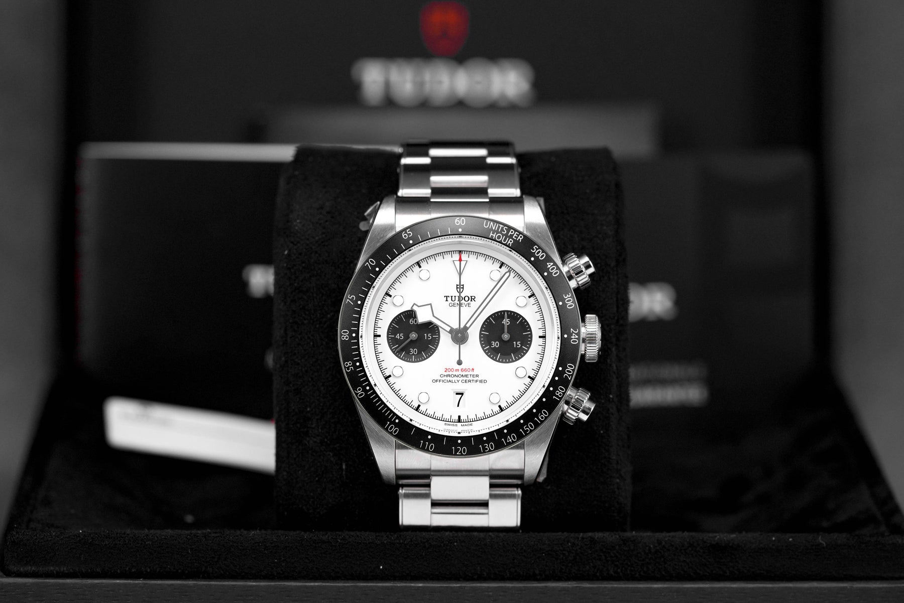 Blackbay Chrono Panda