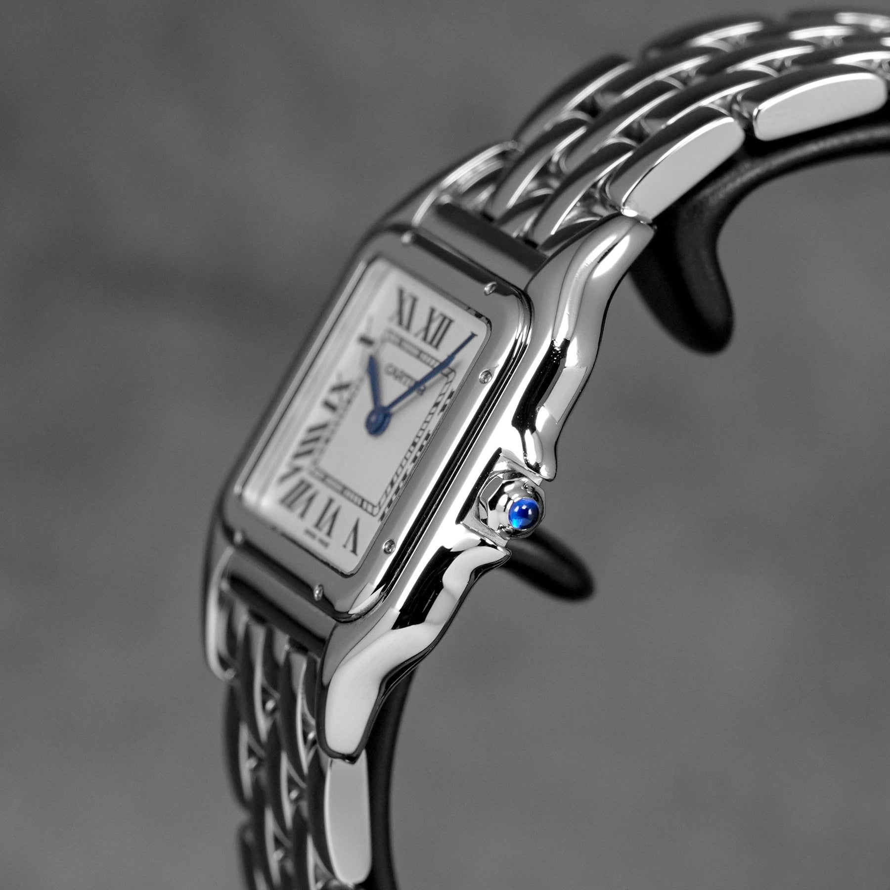 Harga Cartier Panthere M Silver