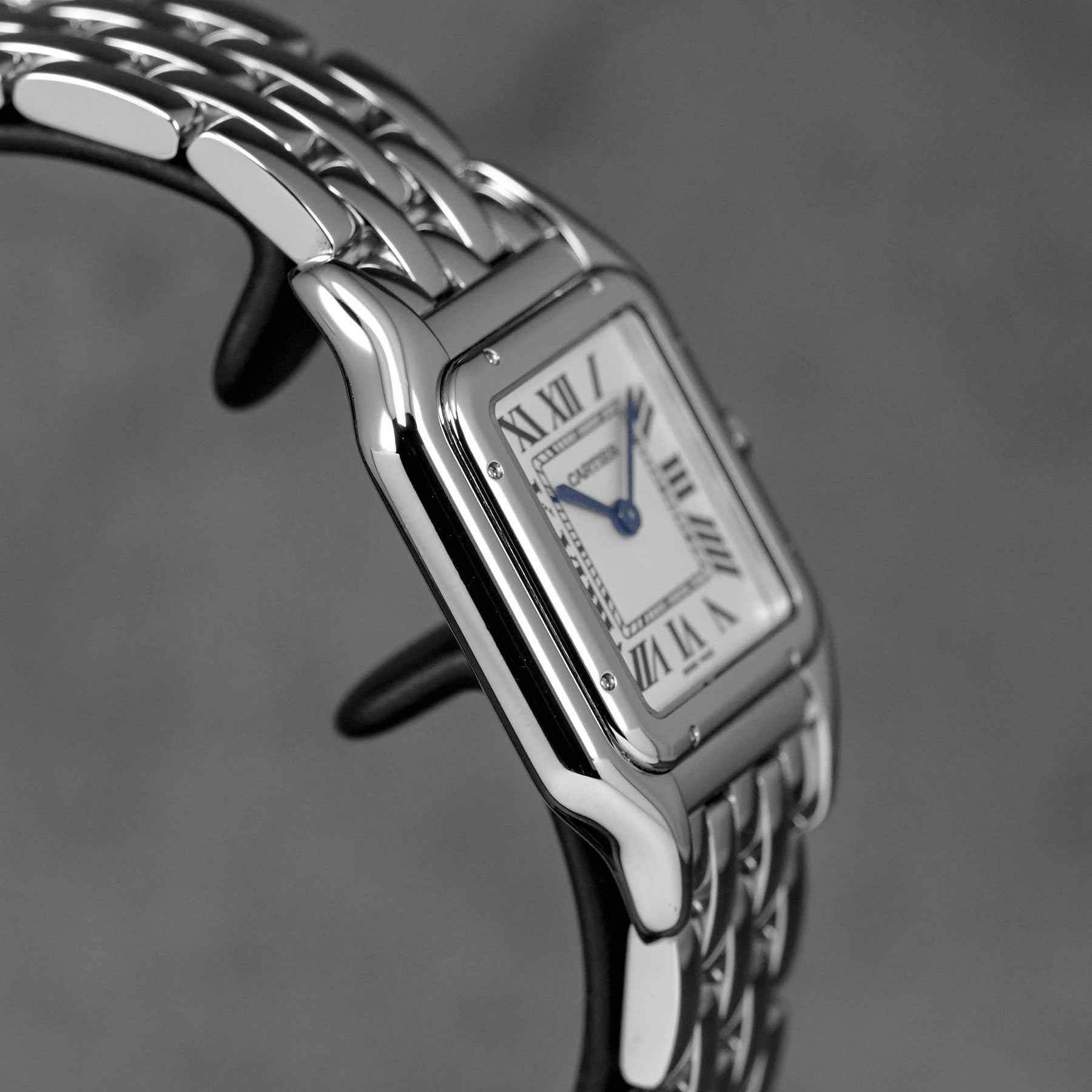Harga Cartier Panthere M Silver