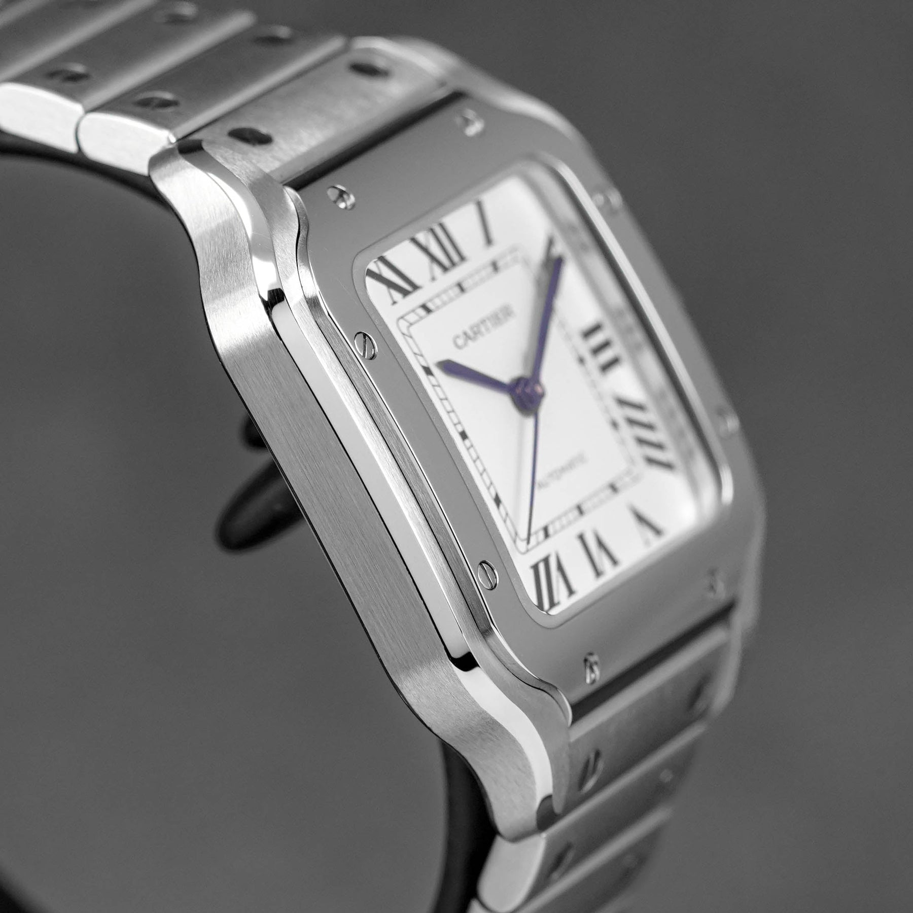 Harga Cartier Santos De Cartier M Silver