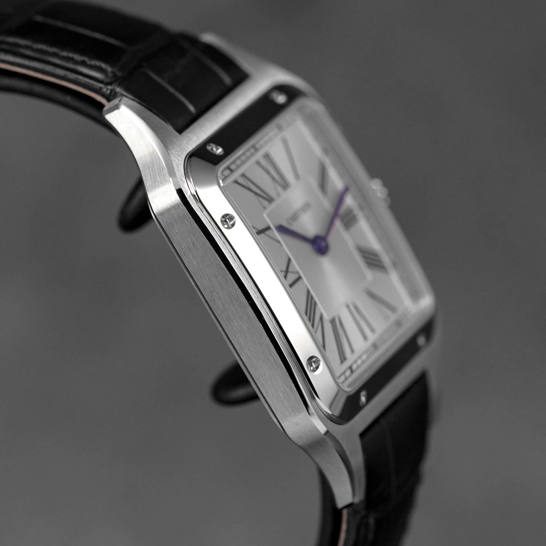 SANTOS DUMONT L SILVER DIAL (2024)