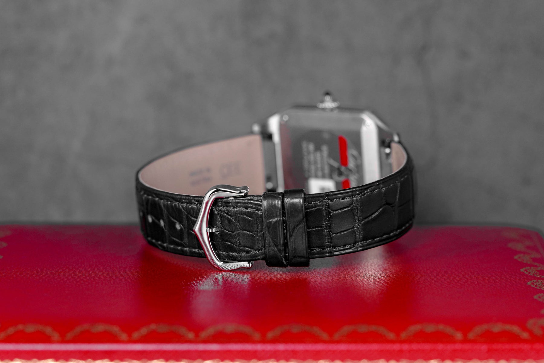 SANTOS DUMONT L SILVER DIAL (2024)