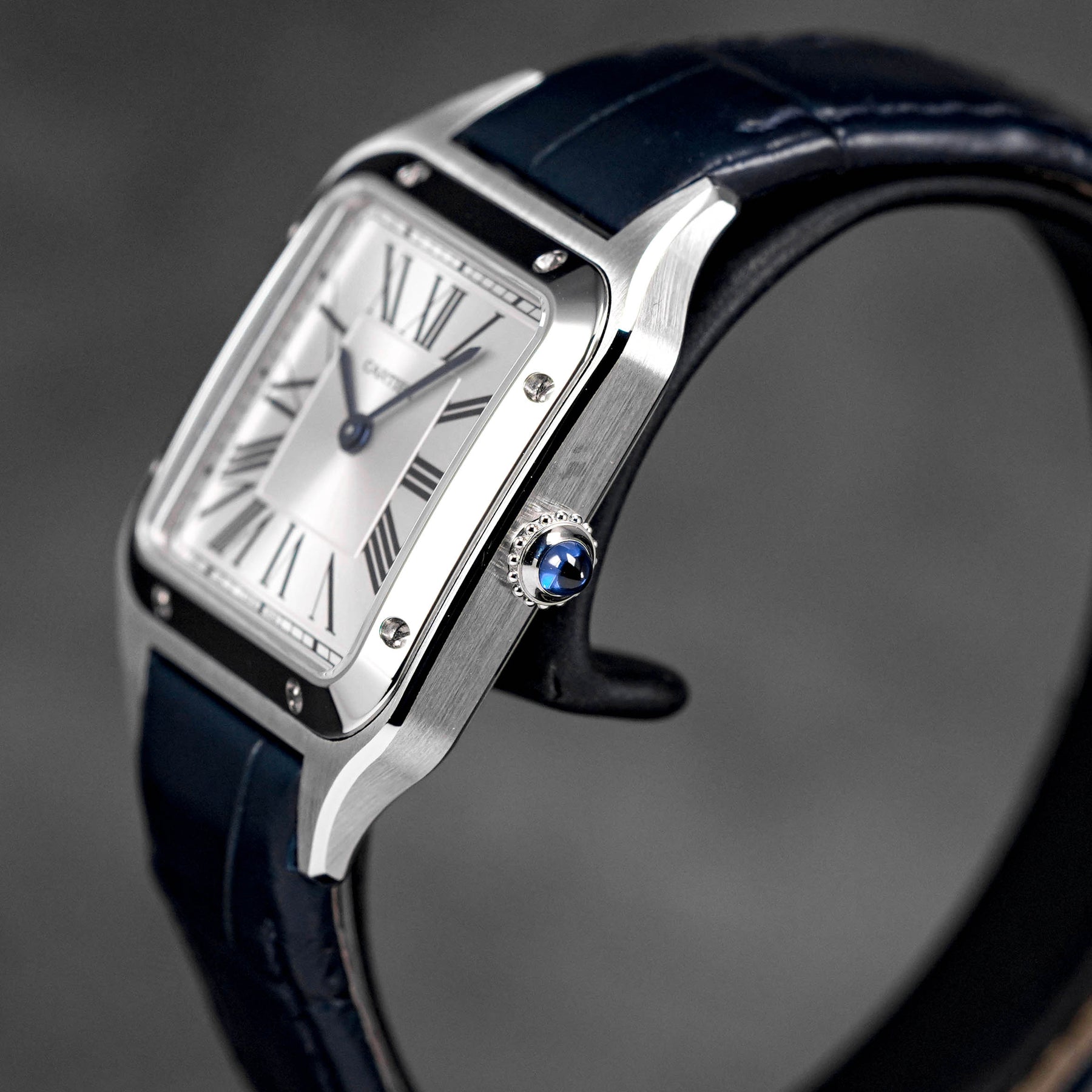 Harga Cartier Santos Dumont S Silver Terbaru
