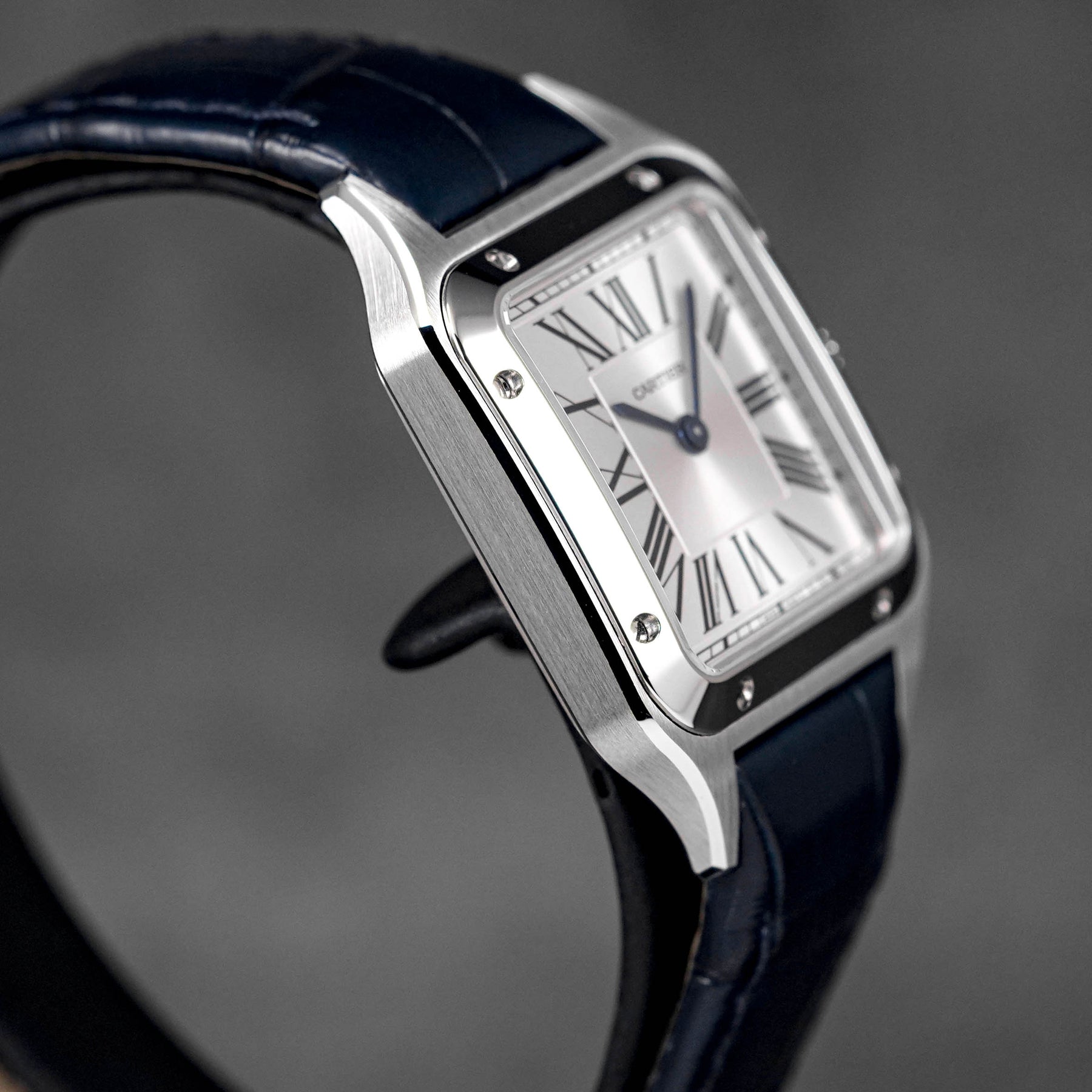 Harga Cartier Santos Dumont S Silver Terbaru