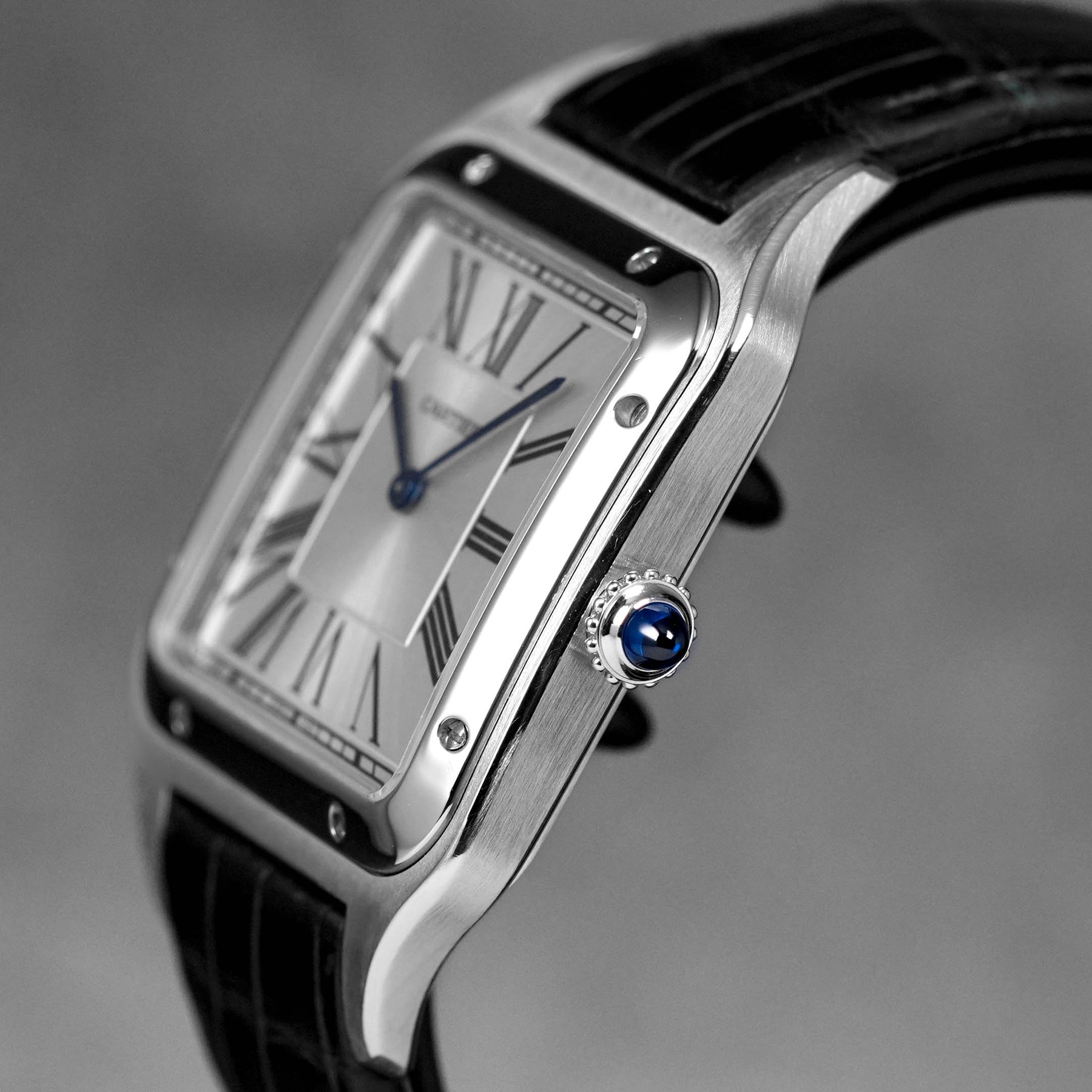Harga Cartier Santos Dumont XL Silver