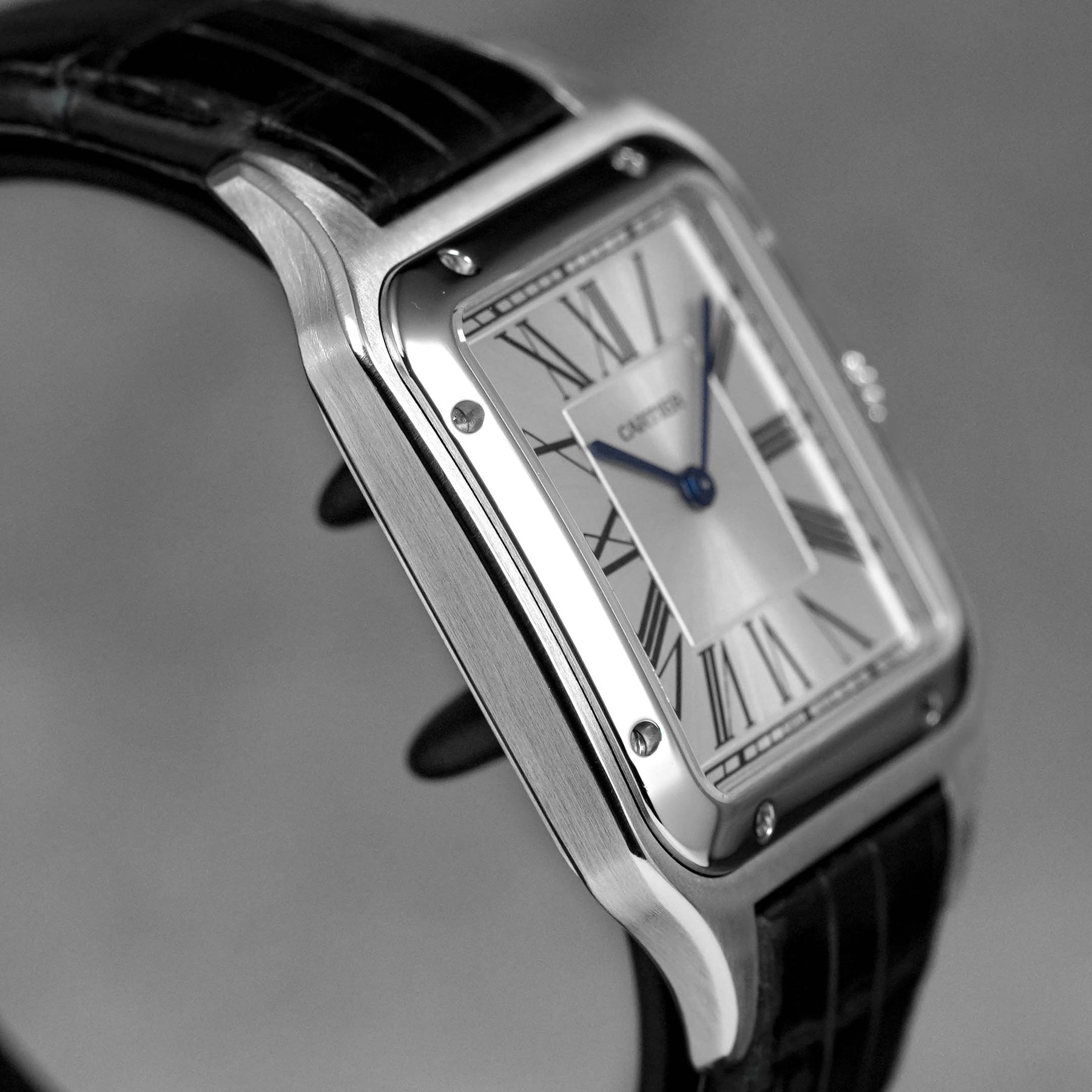 Harga Cartier Santos Dumont XL Silver