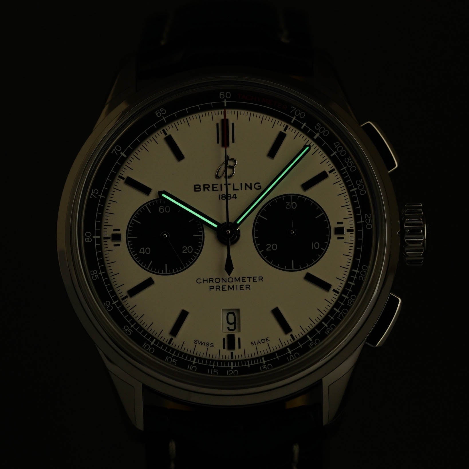 PREMIER B01 PANDA DIAL