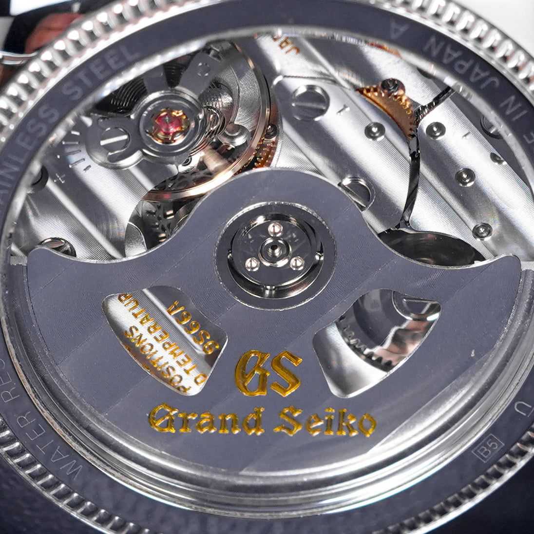 ELEGANCE COLLECTION GMT CREAM DIAL (2022)