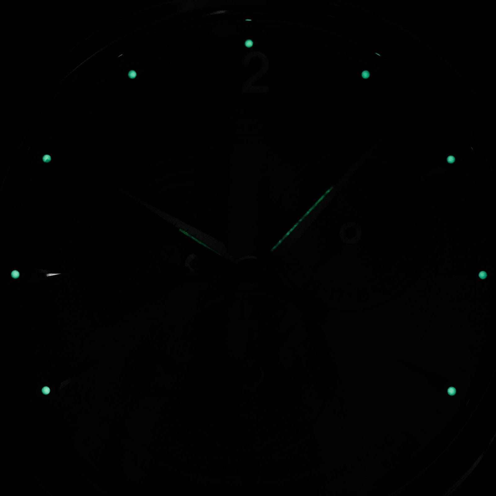 MASTER GEOGRAPHIC SILVER DIAL (2017)
