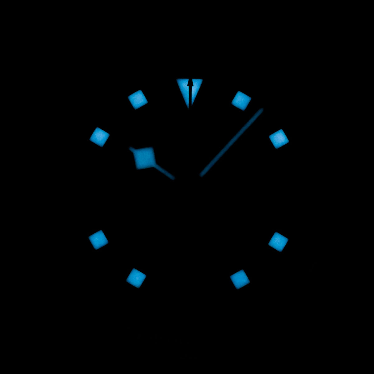 Tudor Pelagos Fxd
