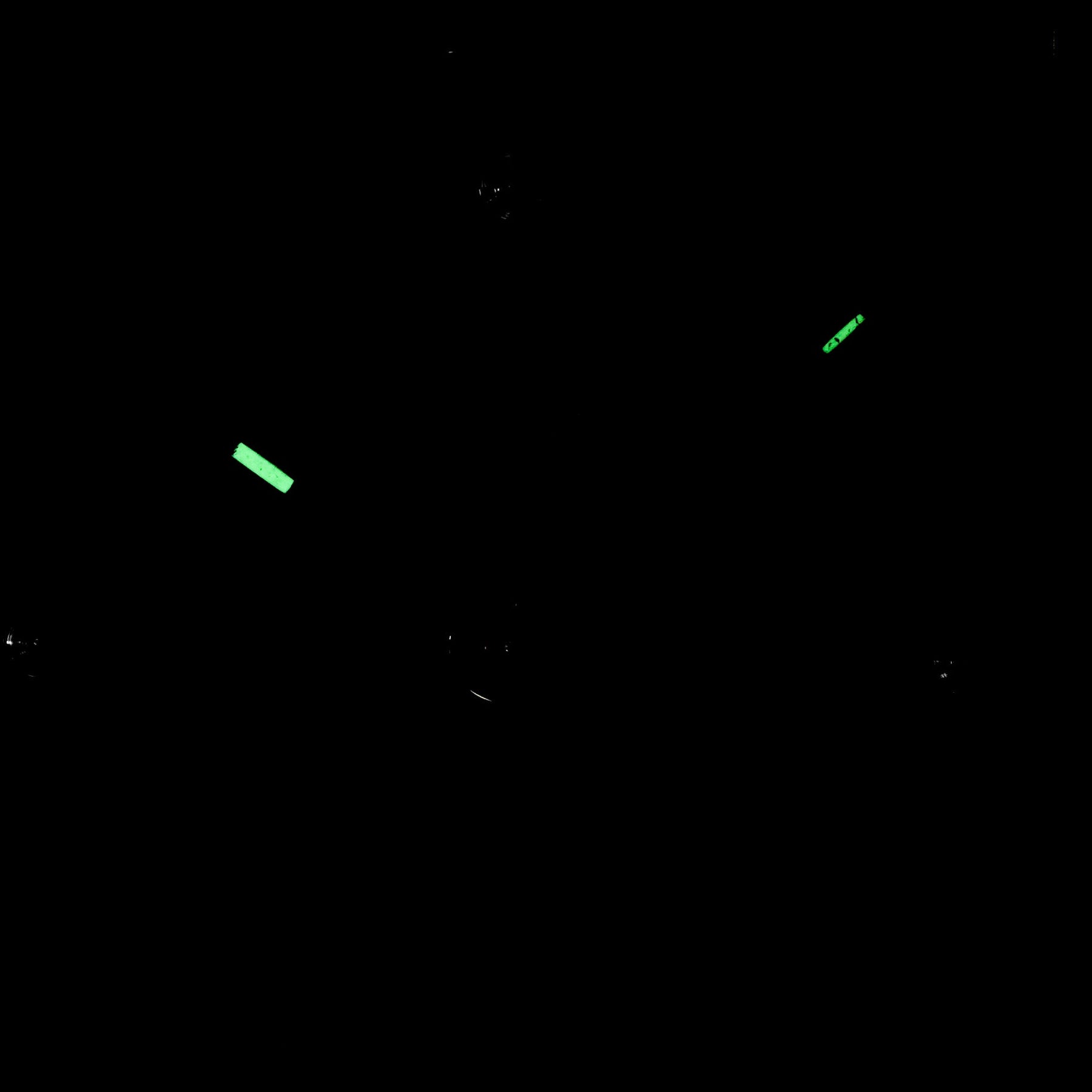 Harga JLC Marina 8 Day Alarm Clock