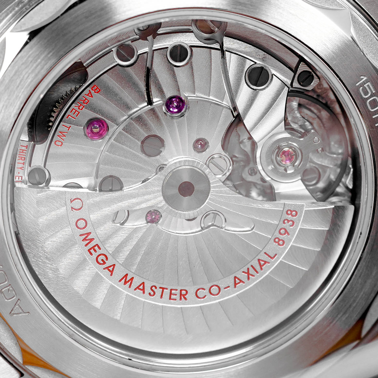 SEAMASTER AQUA TERRA GMT WORLDTIMER (2022)