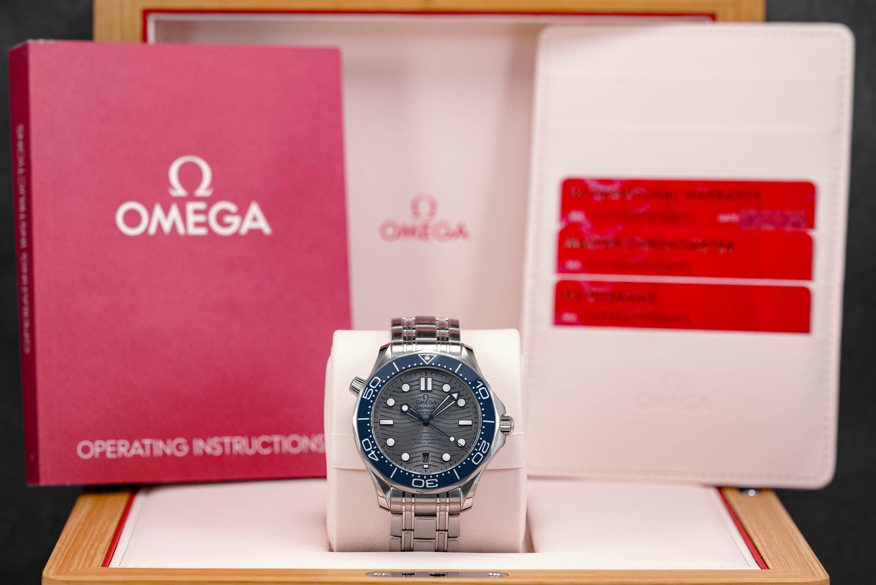 Harga Omega Seamaster Diver 300M Grey