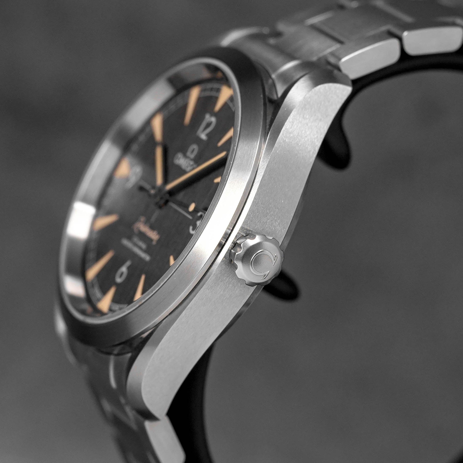 Harga Omega Seamaster Rialmaster Black