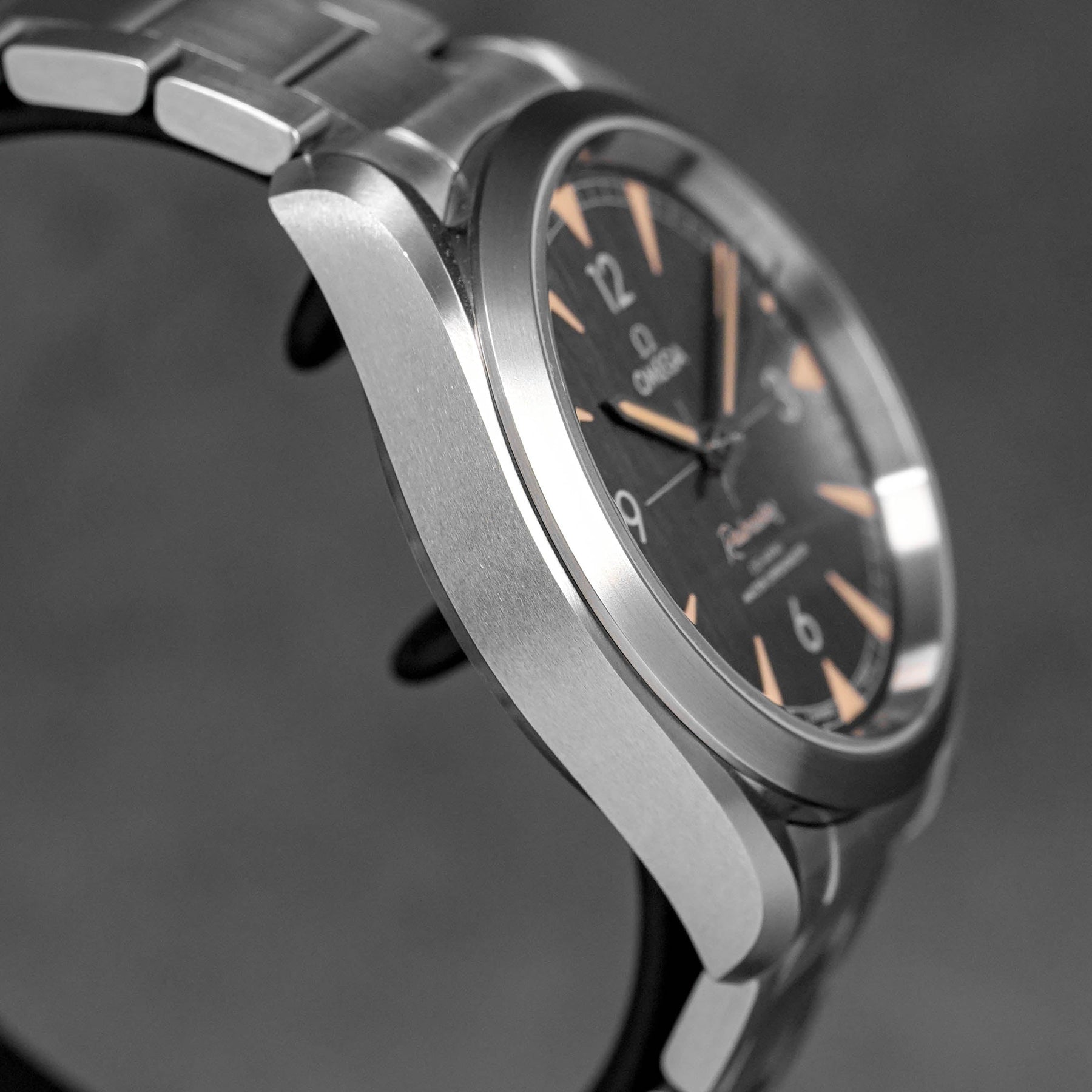 Harga Omega Seamaster Rialmaster Black