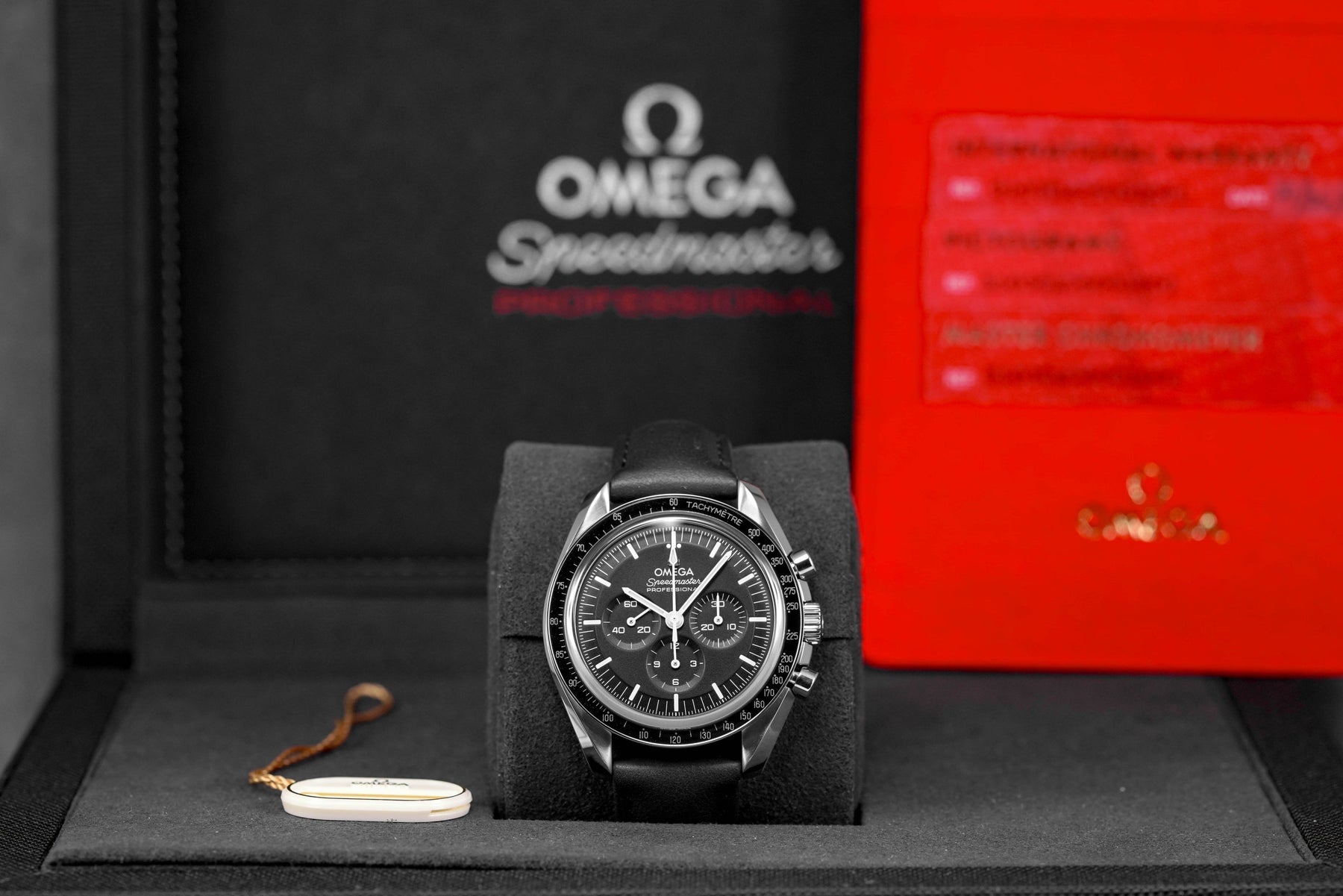 Harga Omega Speedmaster Moonwatch Sapphire