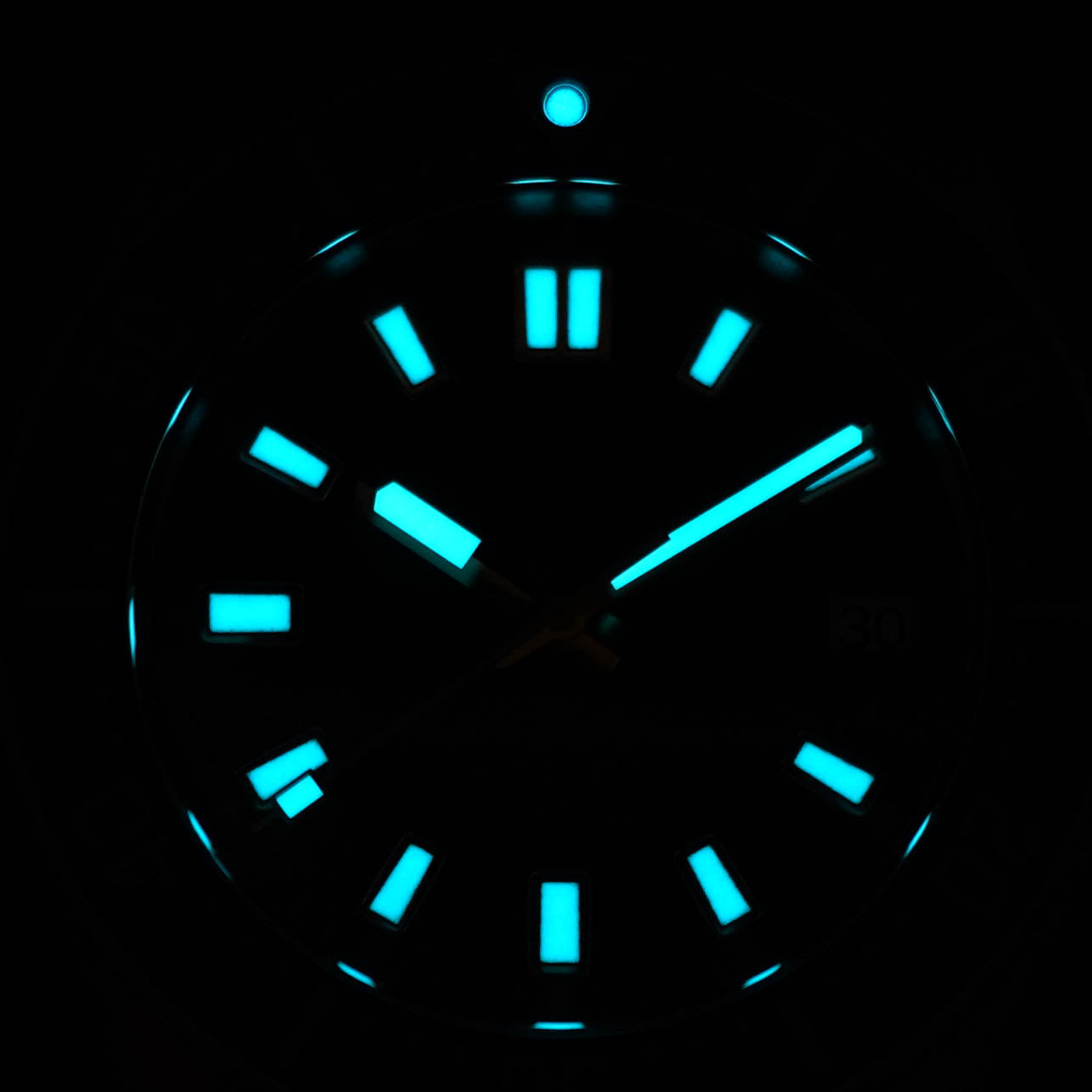Prospex Diver Brown