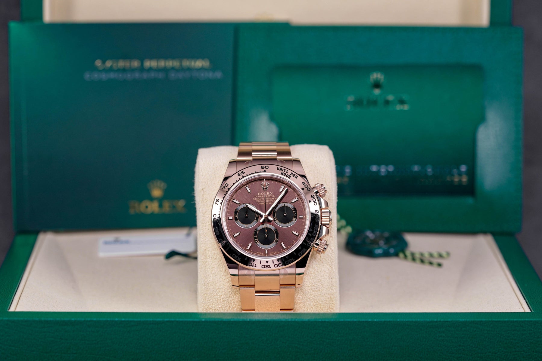 Harga Rolex Daytona Choco Indonesia Terbaru