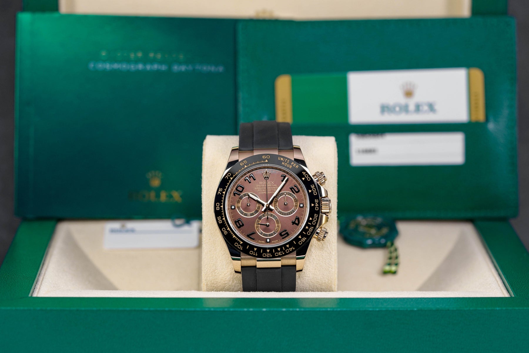 Harga Rolex Daytona Choco Indonesia