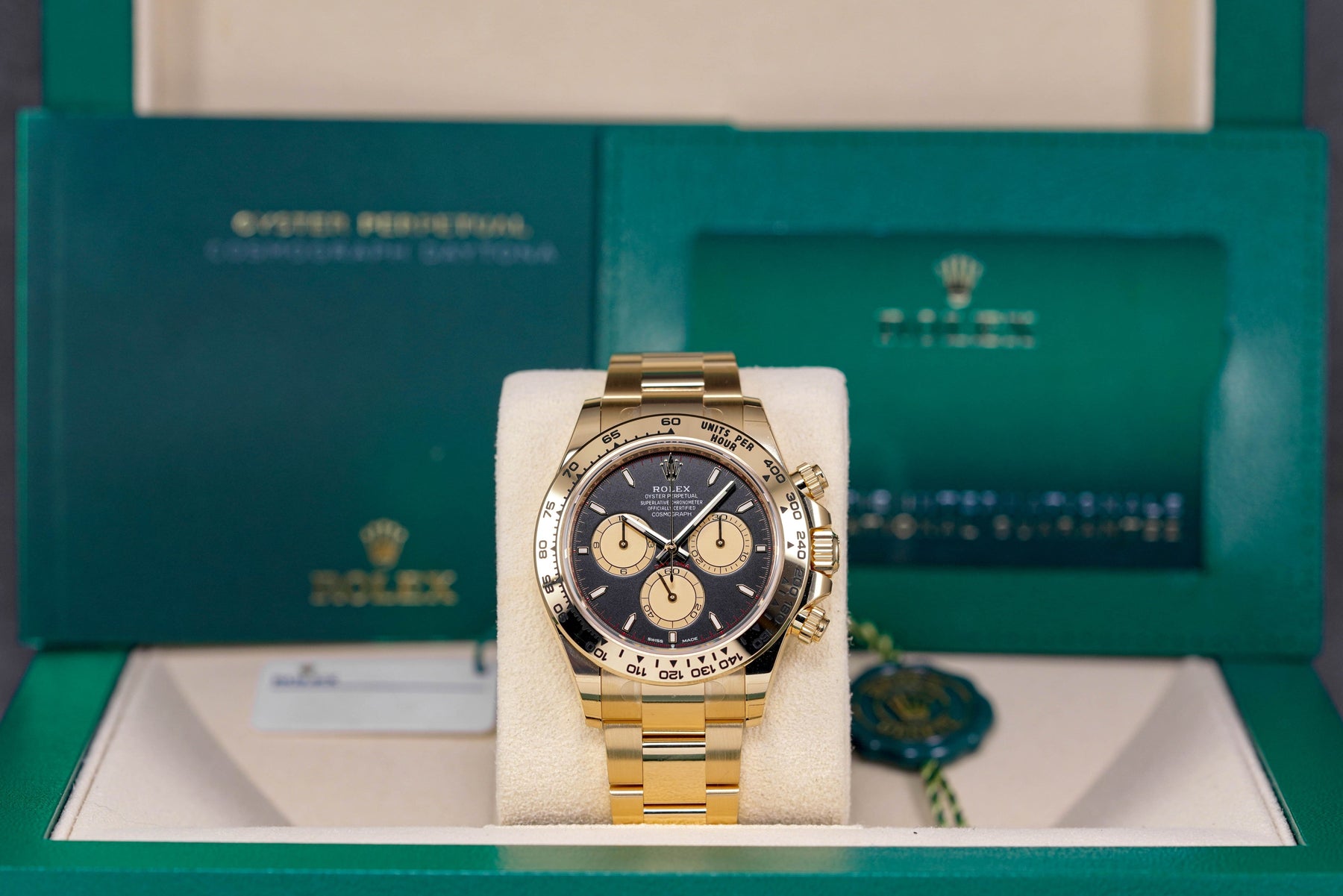 Harga Rolex Daytona Paul Newman Indonesia Terbaru