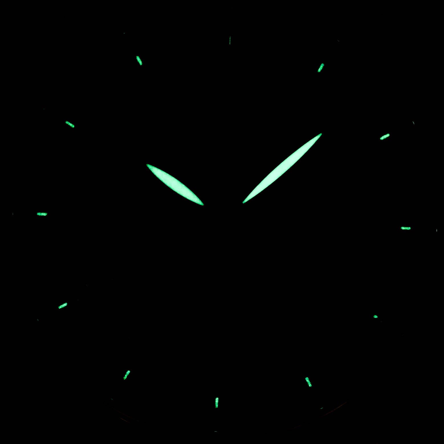 Star GMT Black