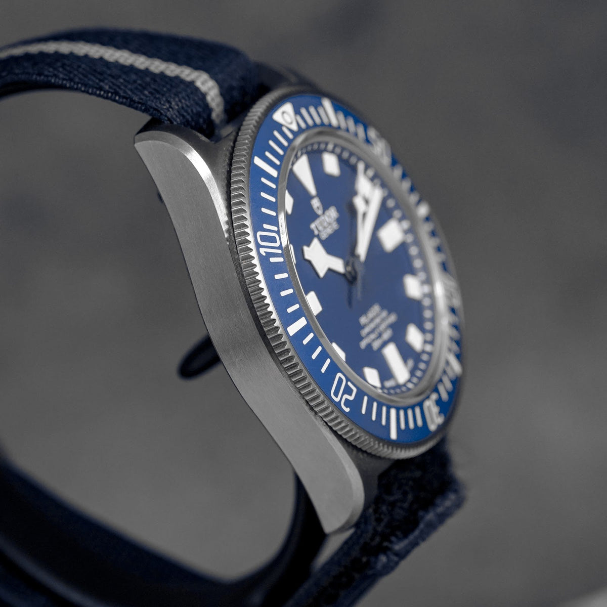 TUDOR PELAGOS
