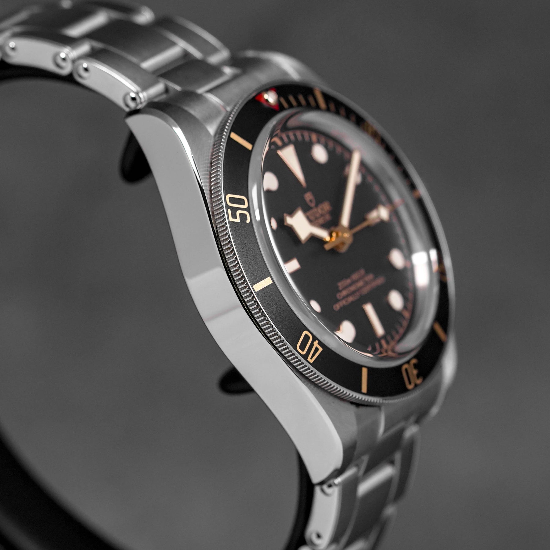 Harga Tudor Black Bay 58 Black