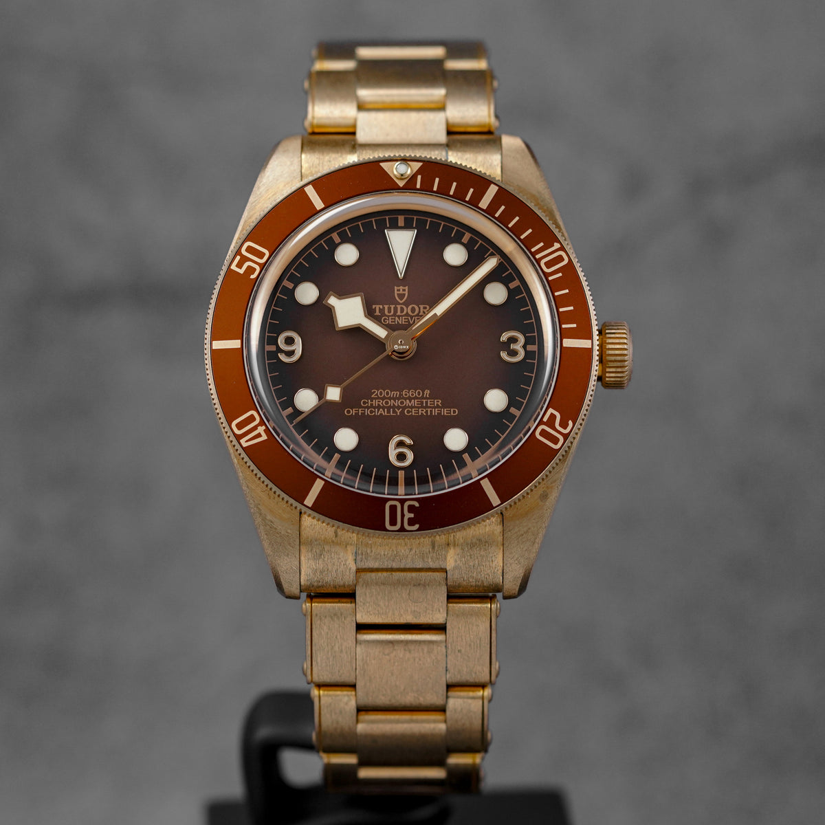 Harga Tudor Black Bay 58 Bronze