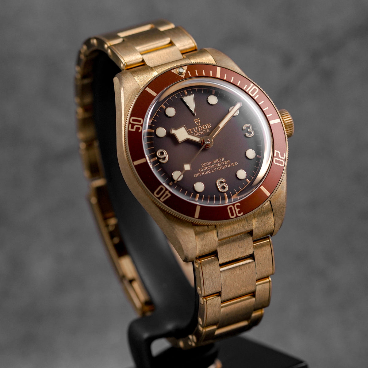 Harga Tudor Black Bay 58 Bronze