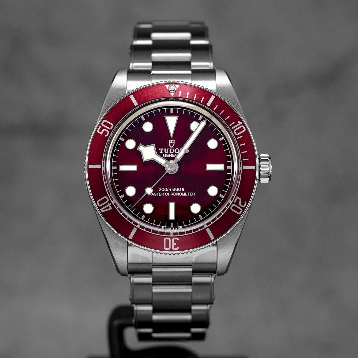 Harga Tudor Black Bay 58 Red Burgundy Terbaru
