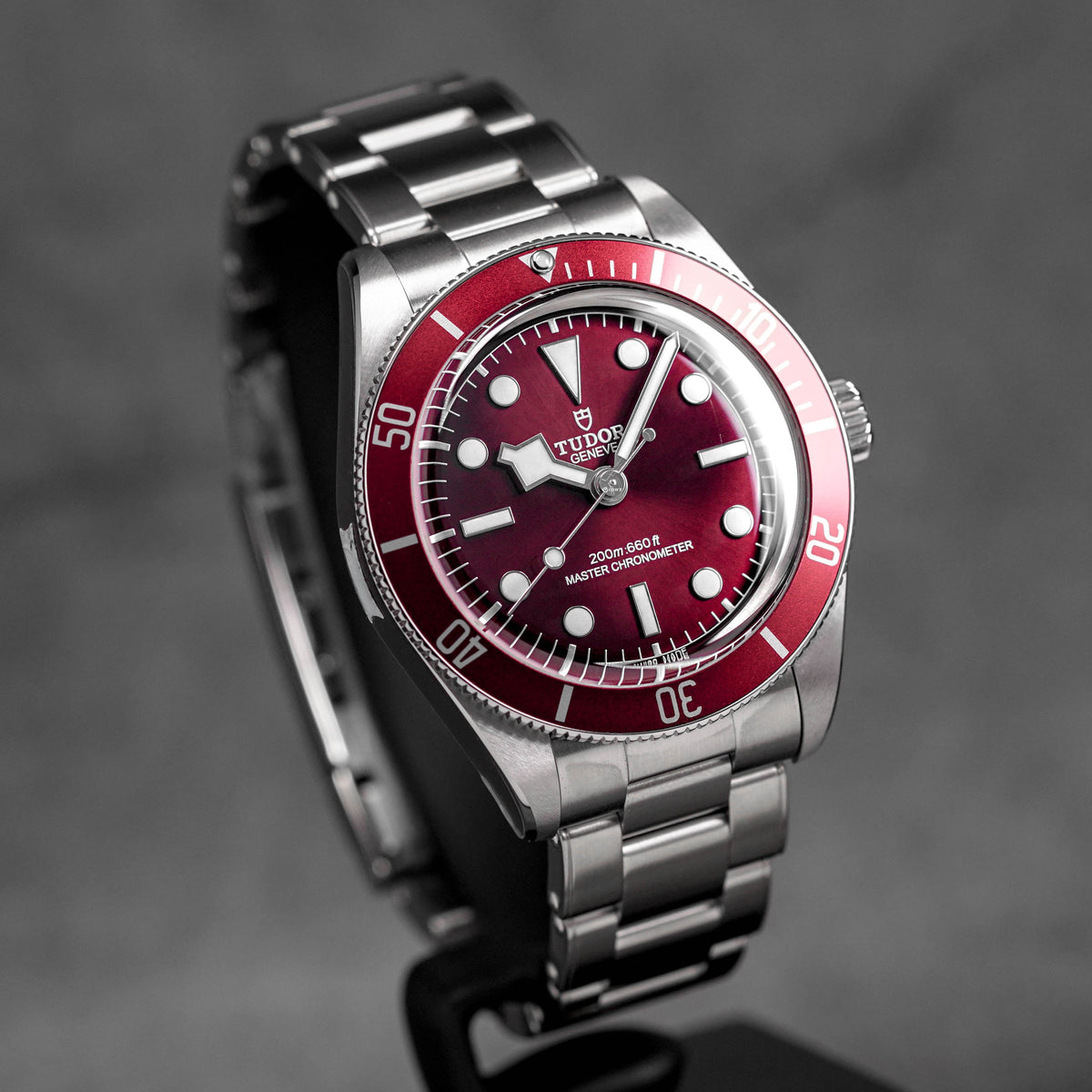 Harga Tudor Black Bay 58 Red Burgundy Terbaru