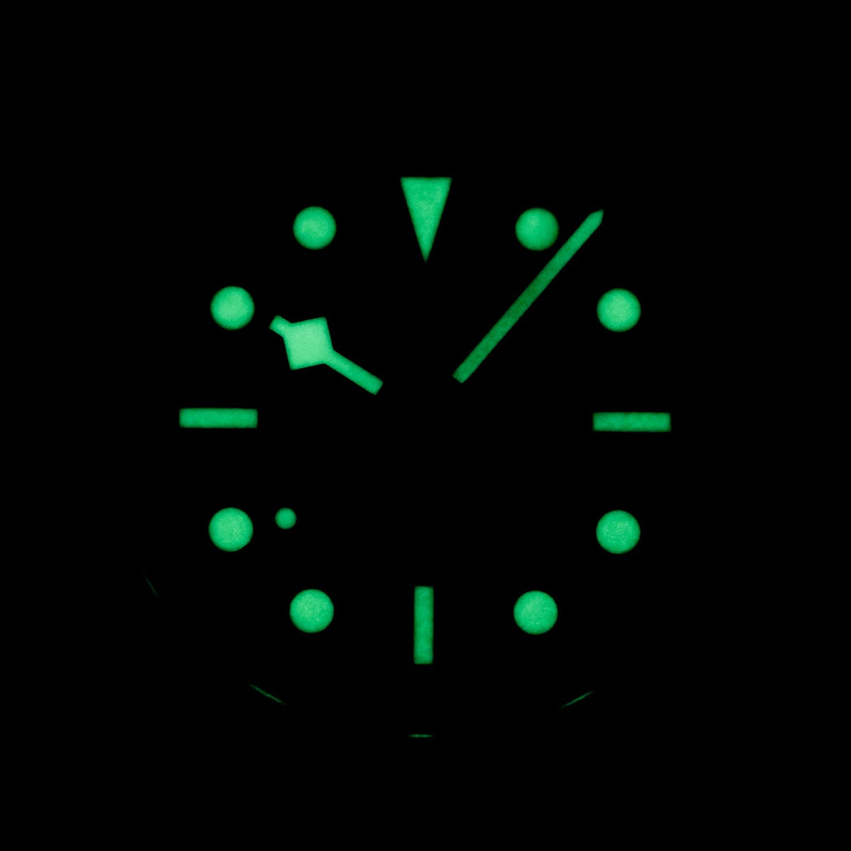 Tudor Black Bay