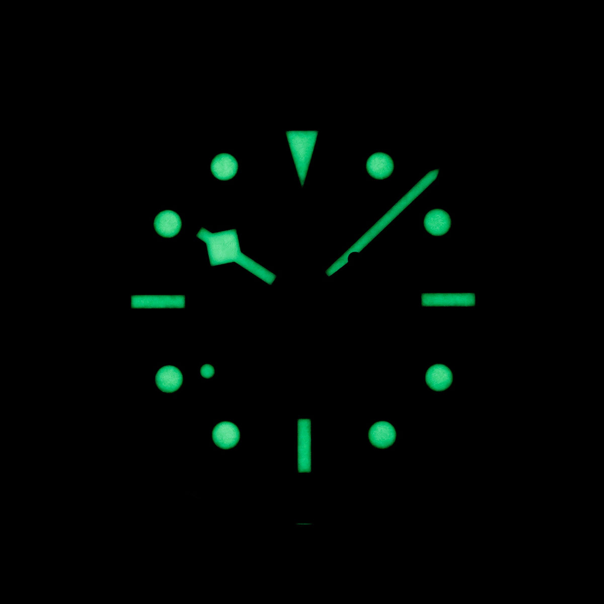 Tudor Black Bay