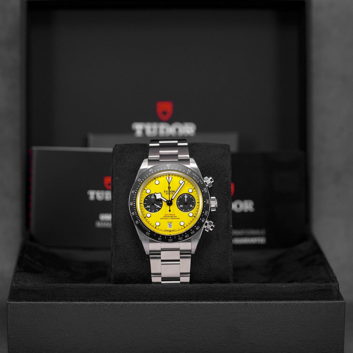 Tudor Black Bay