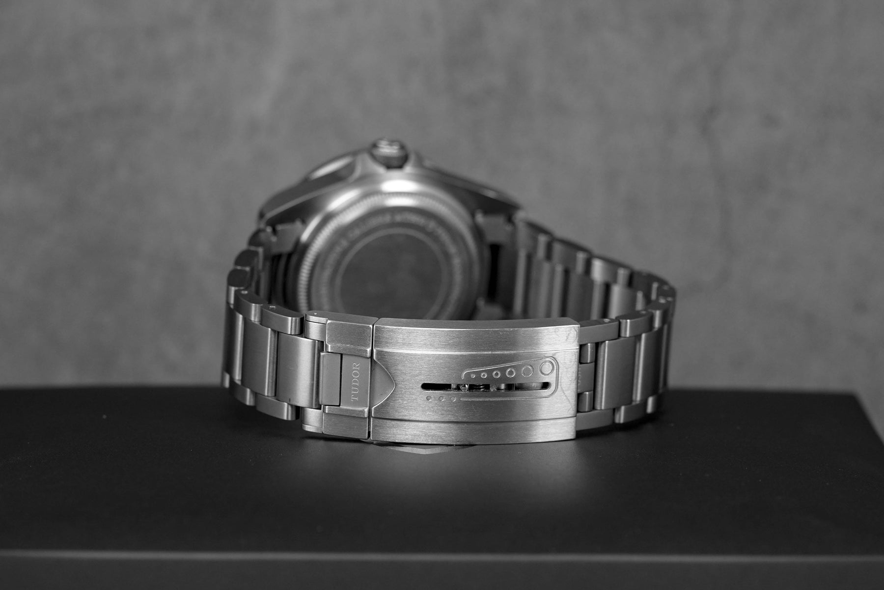 Harga Tudor Pelagos Titanium Blue