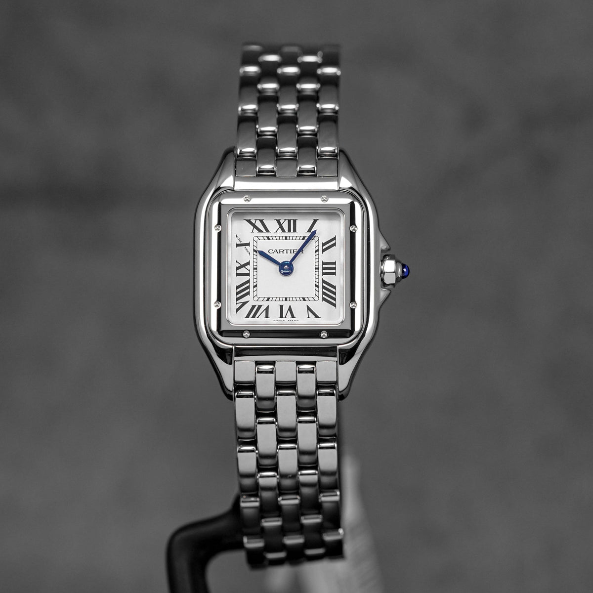 PANTHÈRE S SILVER DIAL (2026)