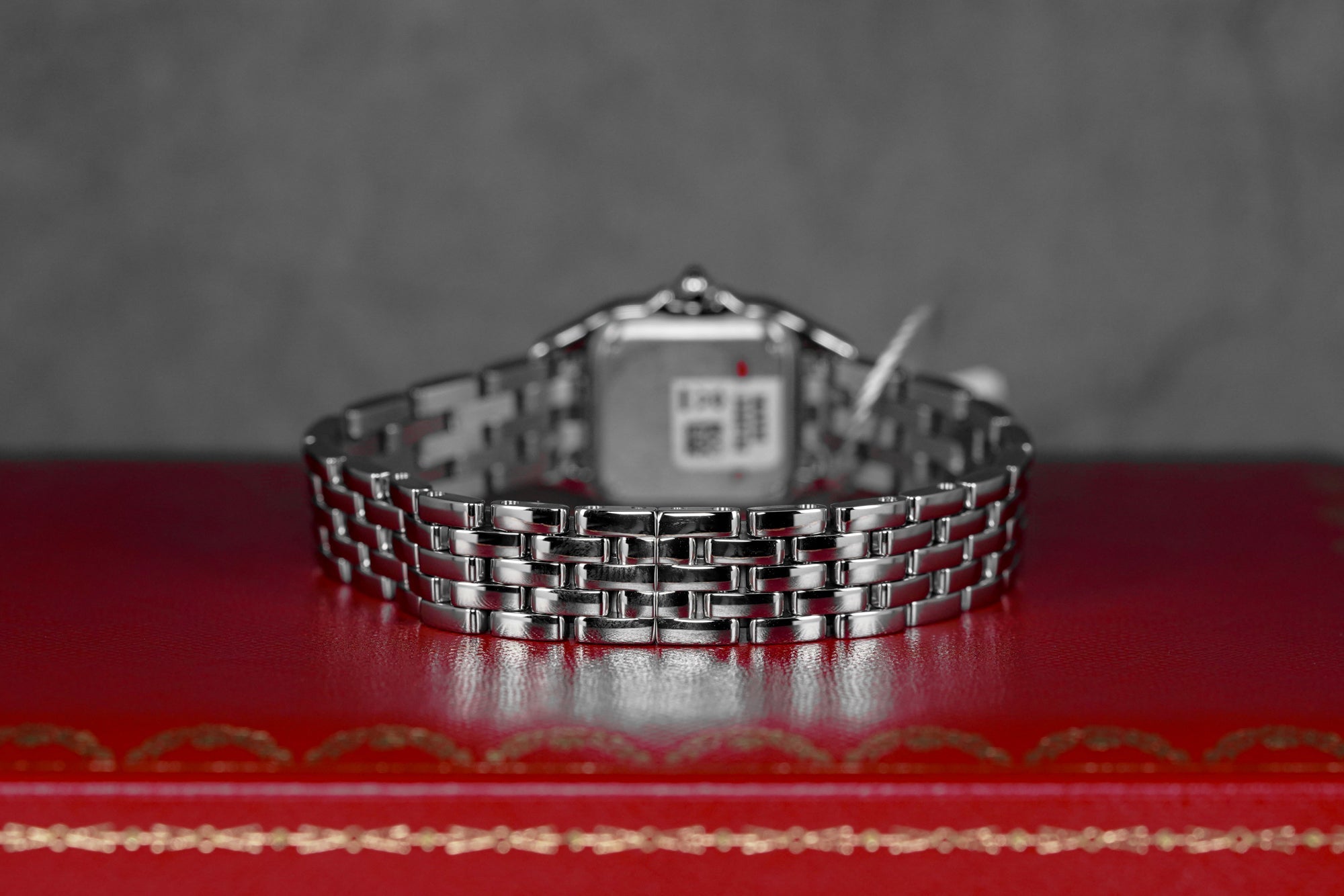 PANTHÈRE S SILVER DIAL (2026)