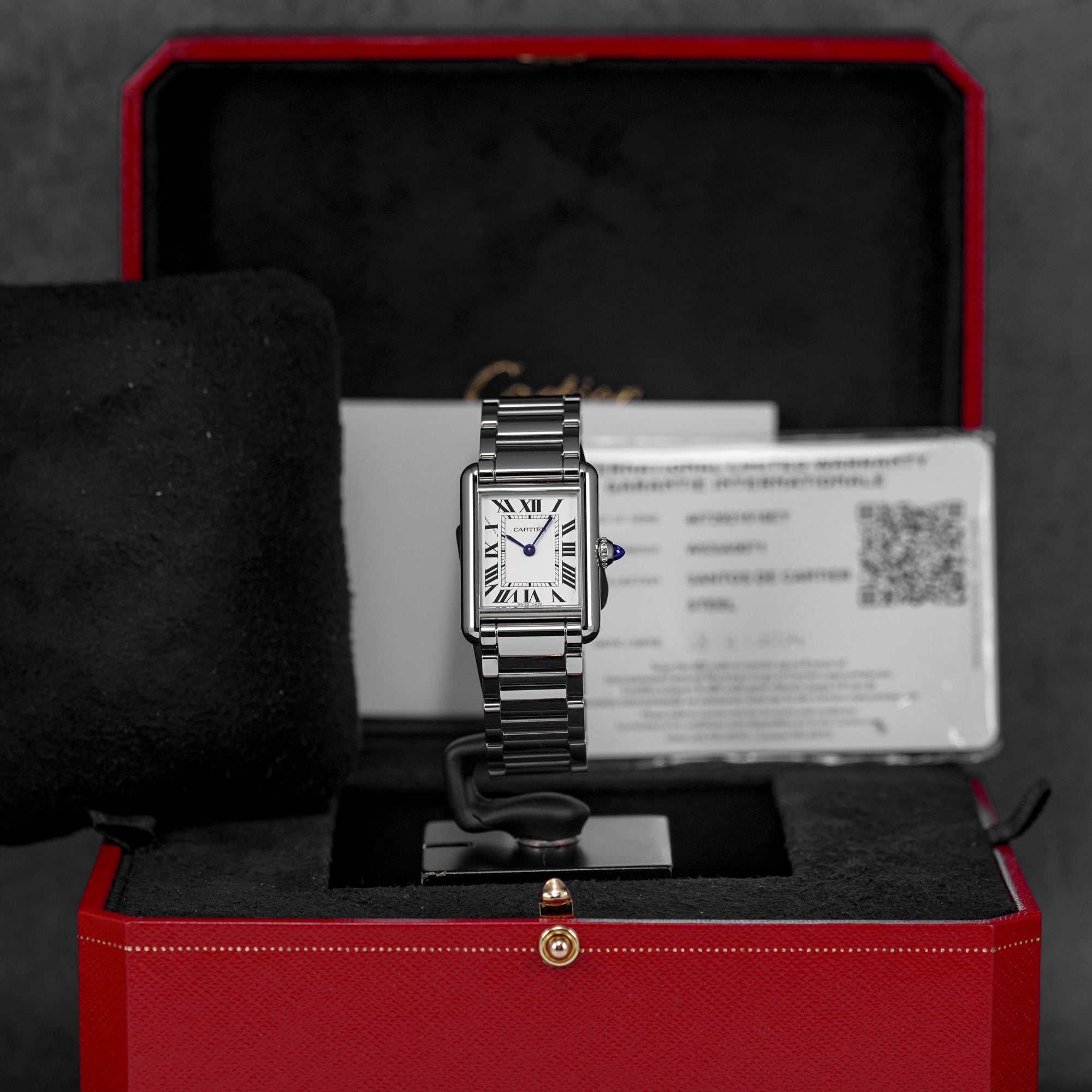 TANK MUST S STEEL SILVER DIAL (2025)