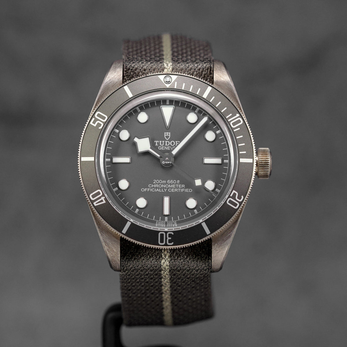 BLACK BAY 58 925 SILVER TAUPE DIAL (2026)