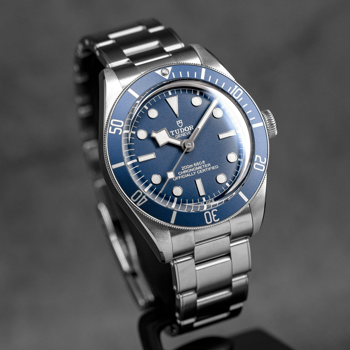 harga tudor black bay 58 blue