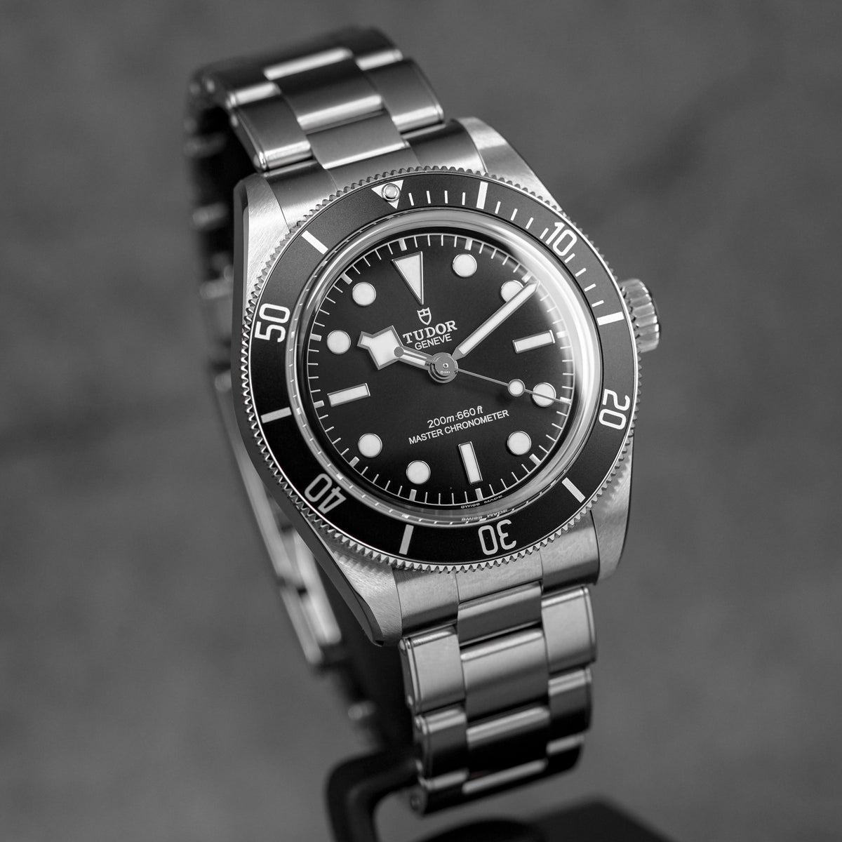 harga tudor black bay monochrome