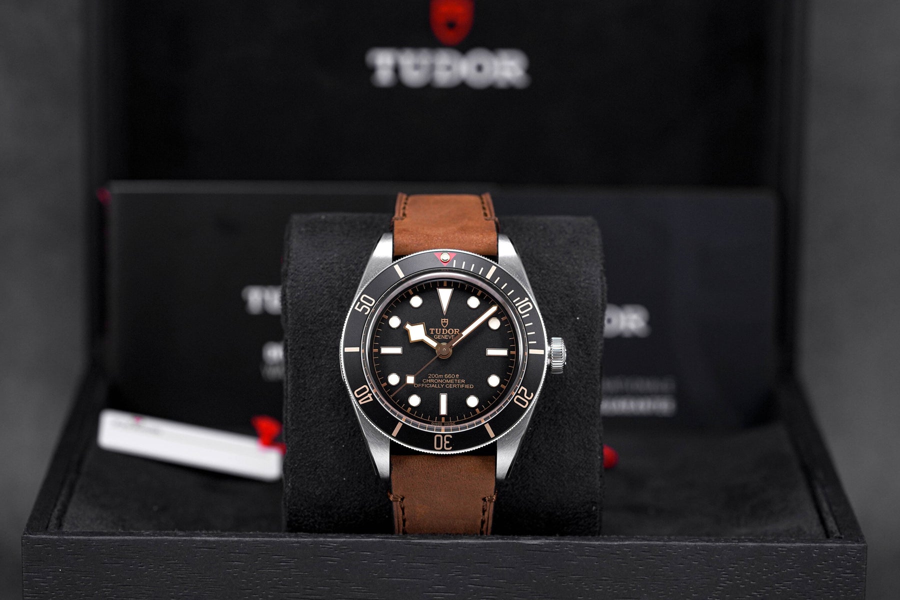 Tudor Heritage Black Bay 58