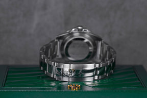 GMT MASTER-II 'BLACK PANTHER' (2012)