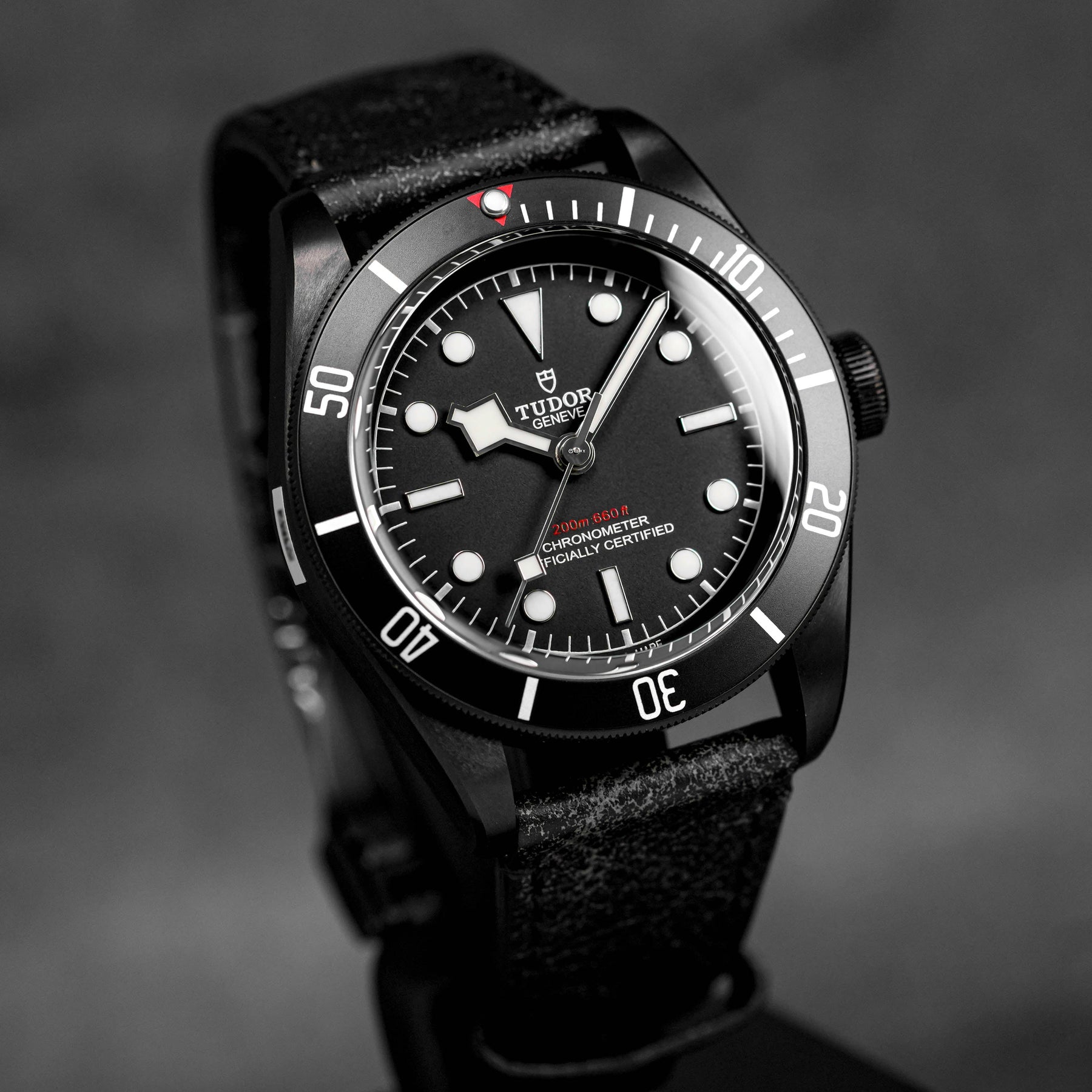 TUDOR BLACK BAY DARK HERITAGE LEATHER STRAP (2018) OMNILUXE