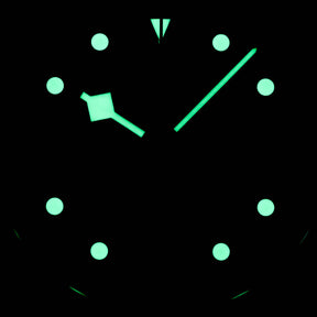 Blackbay Chrono Panda