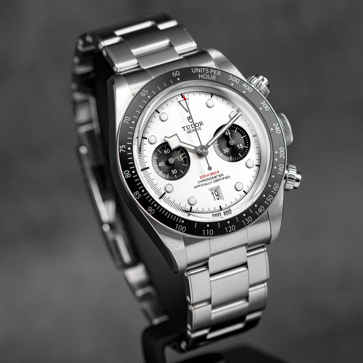 Blackbay Panda