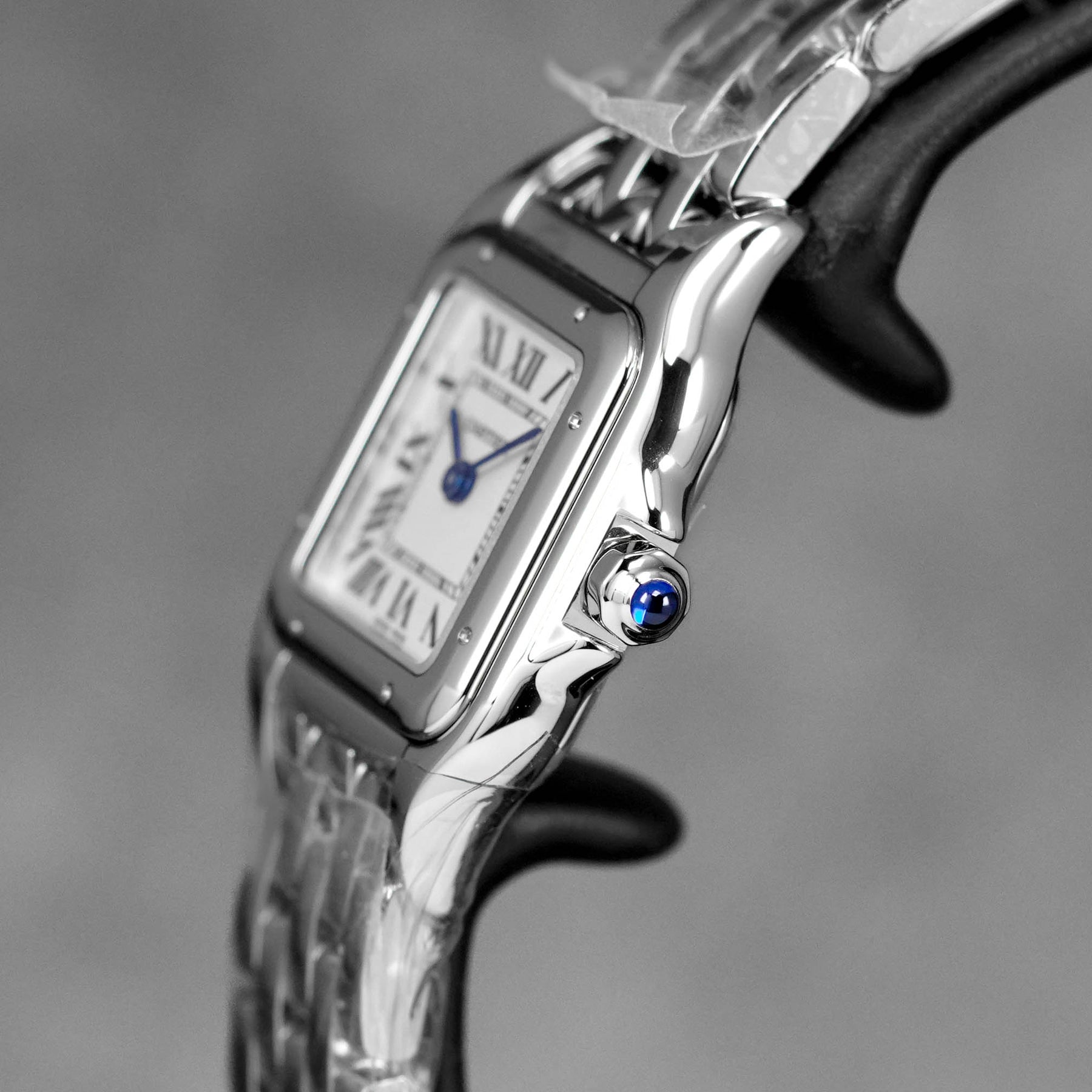 Harga Cartier Panthere S Silver Terbaru