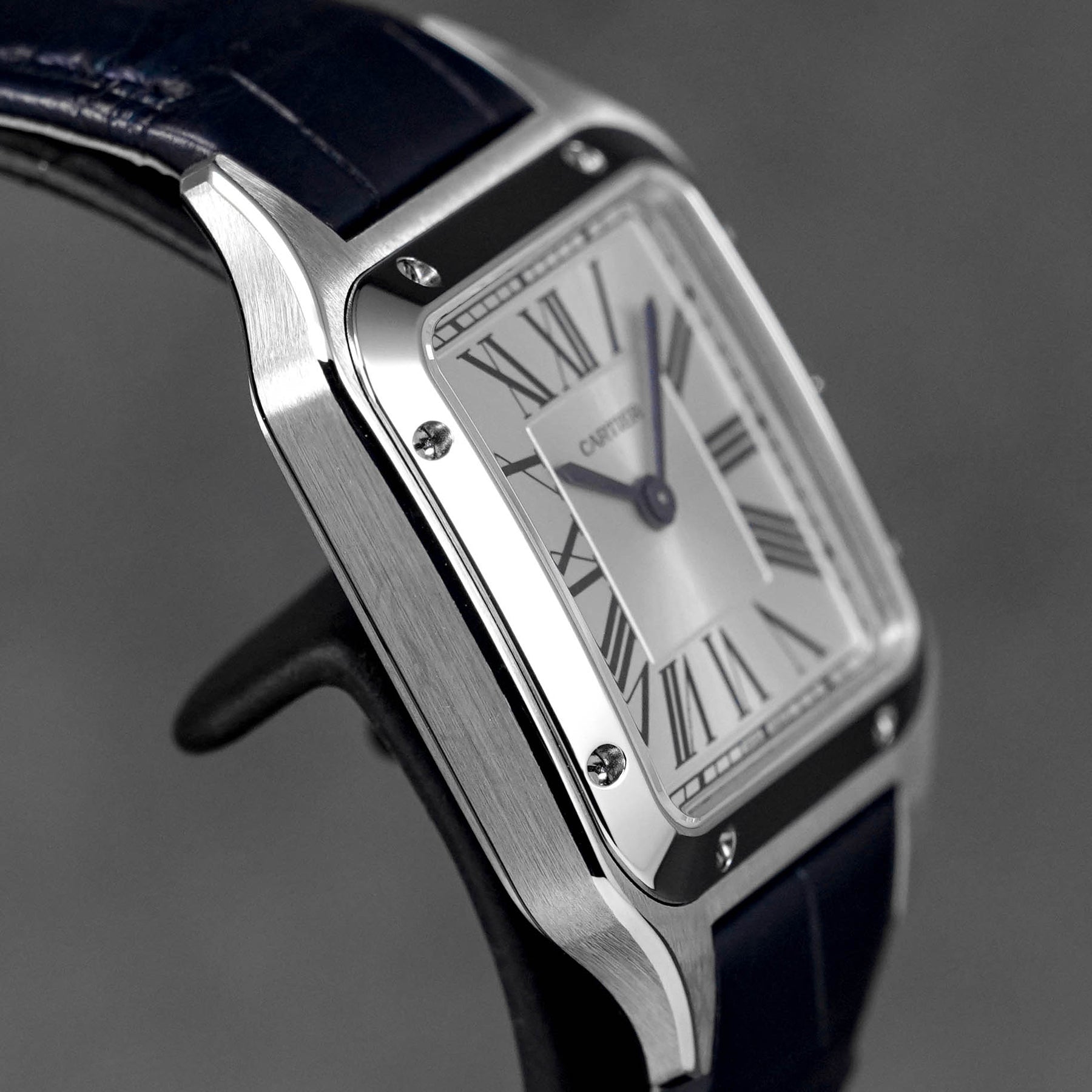 Harga Cartier Santos Dumont S Silver