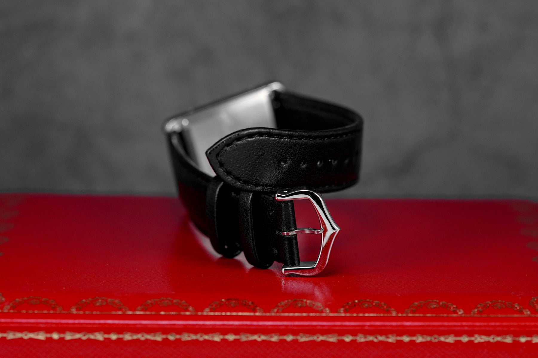 TANK MUST SOLARBEAT L SILVER DIAL (2023)